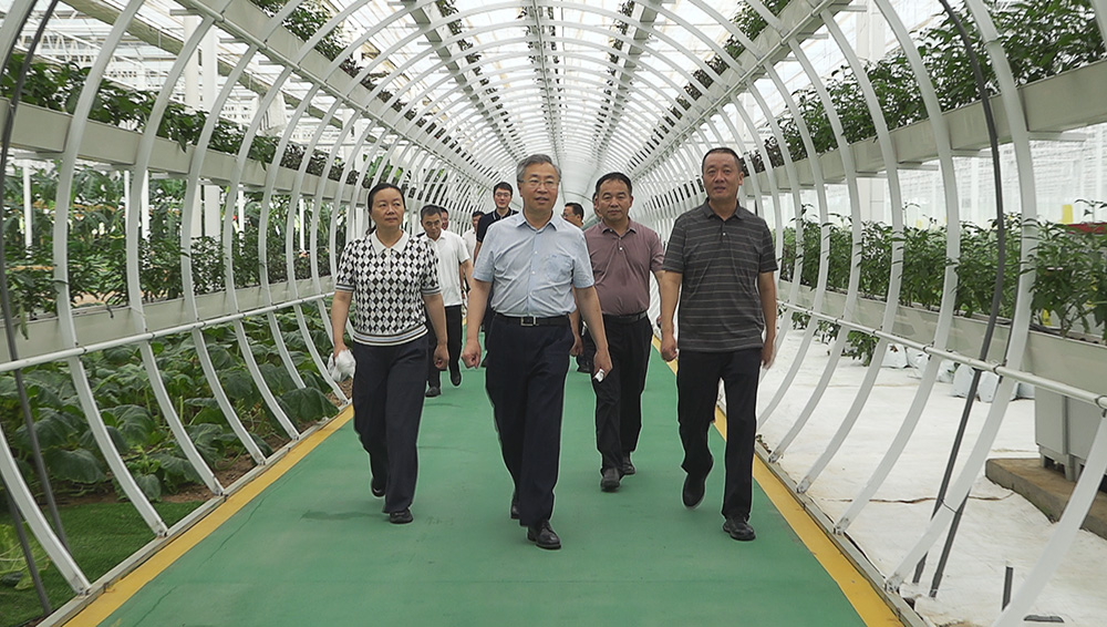 刘敬桢赴湖北省孝昌县调研推进乡村振兴工作